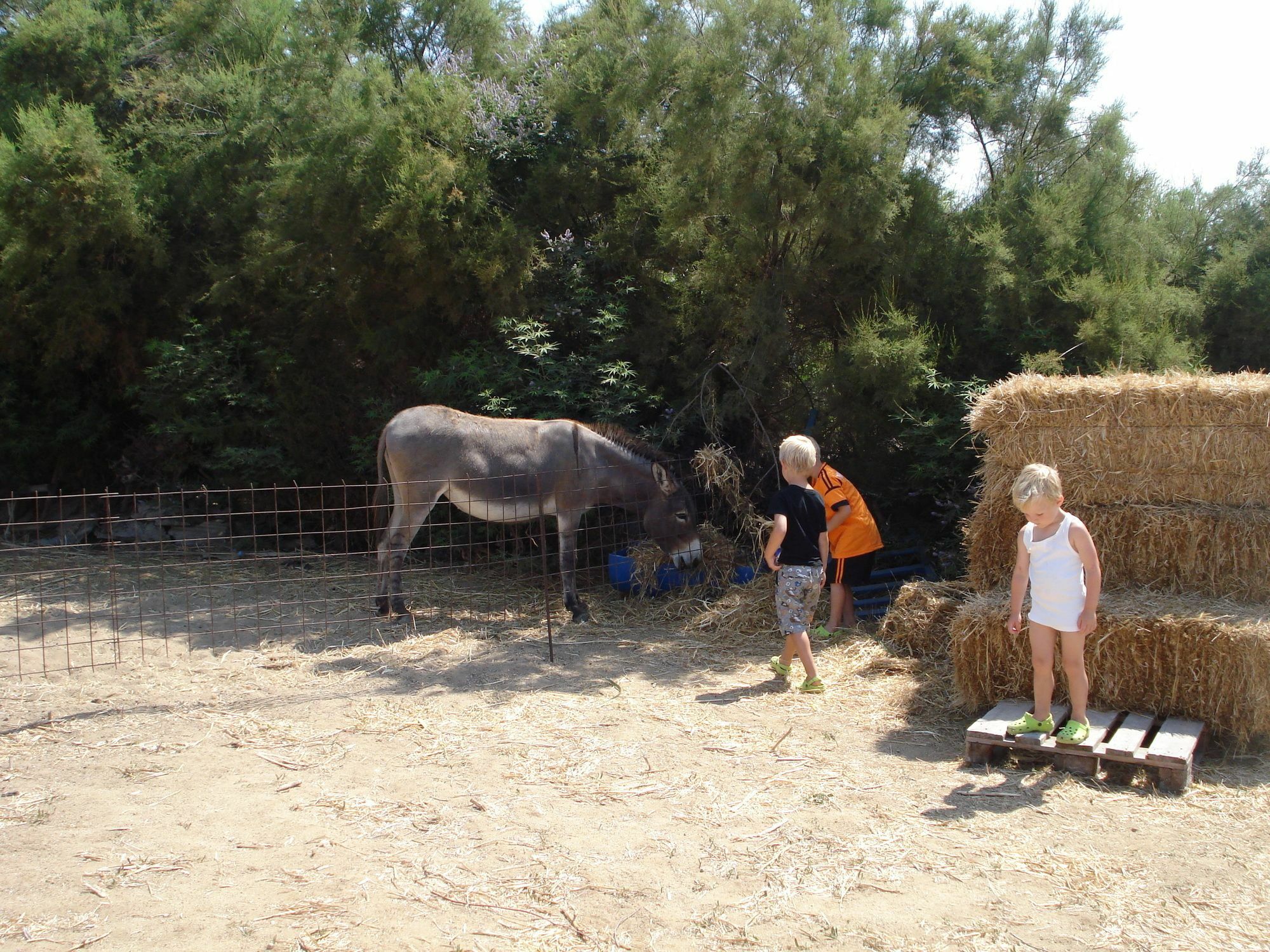Agios Prokopios Hotel Bagian luar foto
